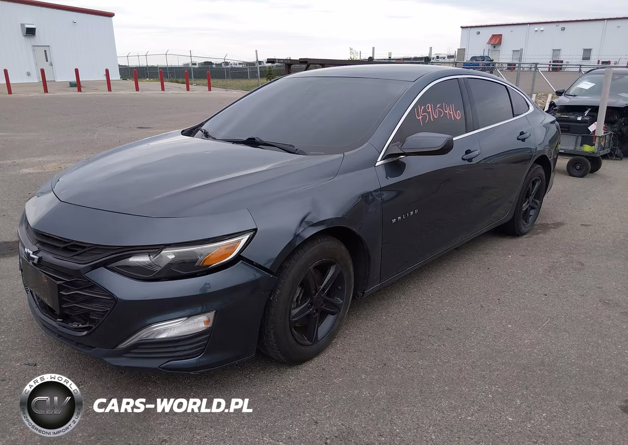 2019 Chevrolet Malibu 1Fl VIN:1G1ZC5ST6KF124463 - 2