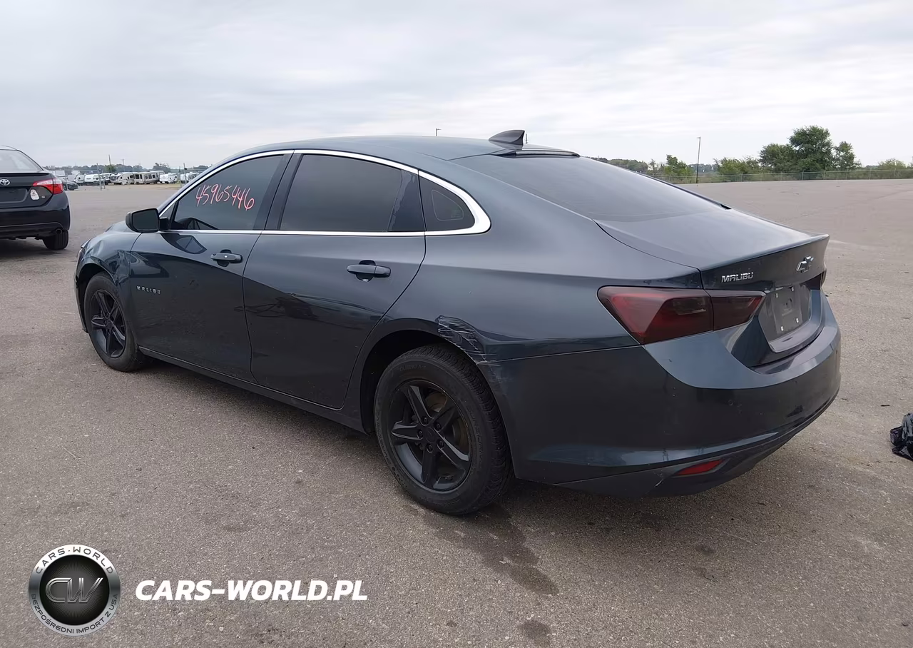 2019 Chevrolet Malibu 1Fl VIN:1G1ZC5ST6KF124463 - 3