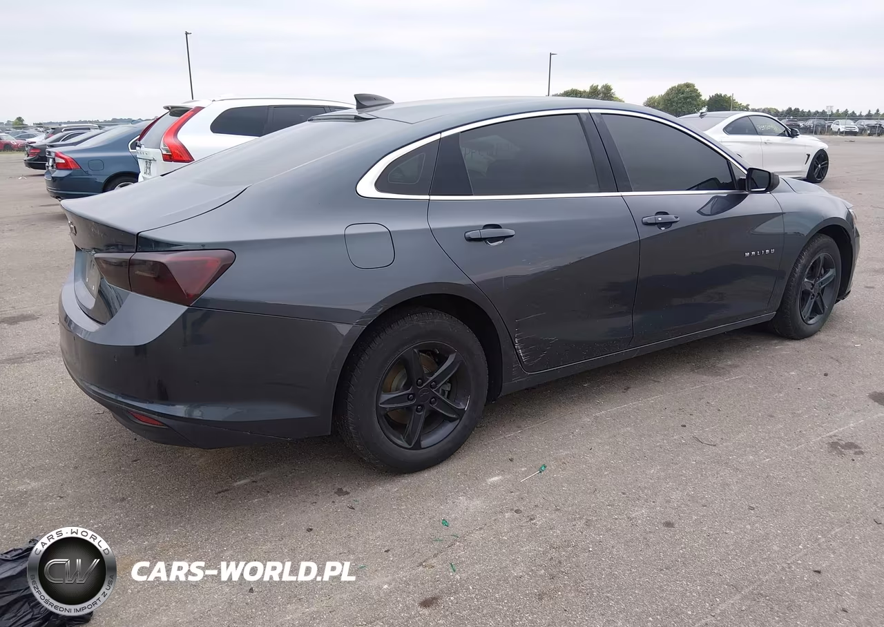 2019 Chevrolet Malibu 1Fl VIN:1G1ZC5ST6KF124463 - 4