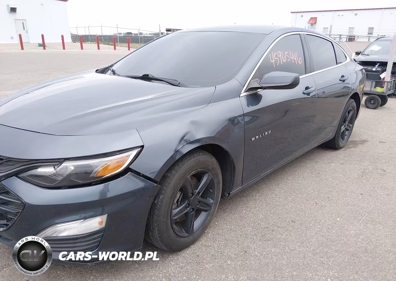 2019 Chevrolet Malibu 1Fl VIN:1G1ZC5ST6KF124463 - 6