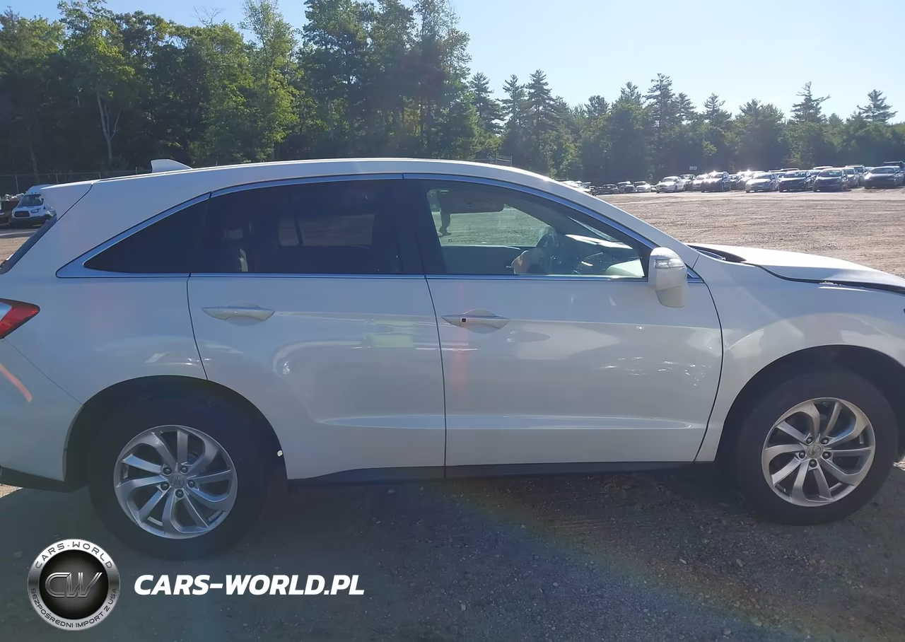 2017 Acura Rdx Acurawatch Plus Package VIN:5J8TB4H31HL020475 - 14