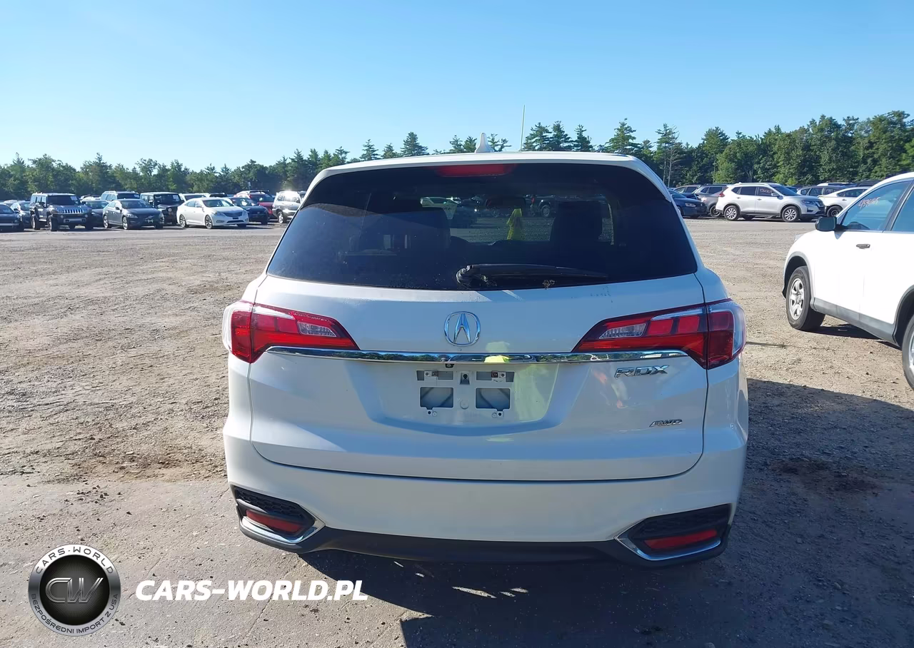 2017 Acura Rdx Acurawatch Plus Package VIN:5J8TB4H31HL020475 - 17