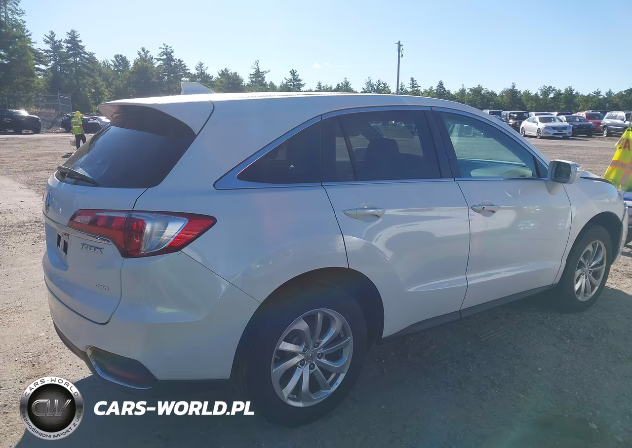 2017 Acura Rdx Acurawatch Plus Package VIN:5J8TB4H31HL020475 - 4