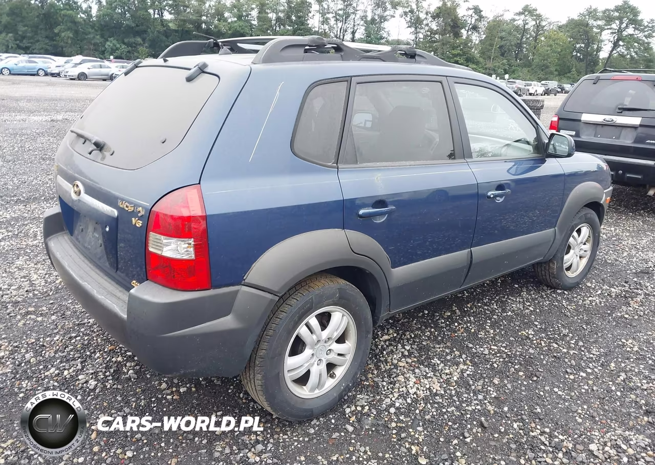 2006 Hyundai Tucson Gls-Limited VIN:KM8JN72D76U321299 - 4
