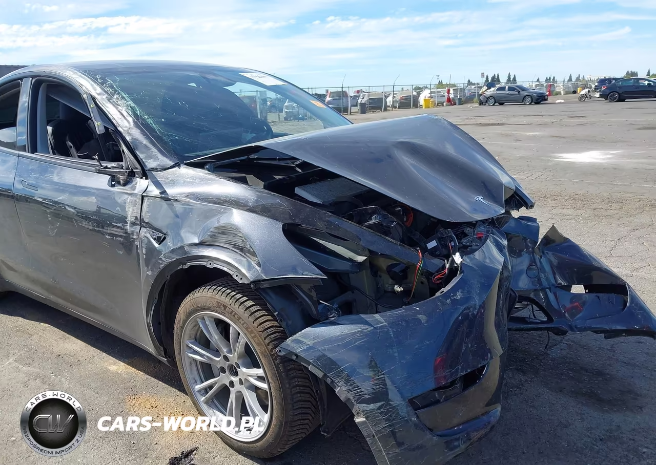 2024 Tesla Model Y Long Range Dual Motor All-Wheel Drive VIN:7SAYGDEE1RF064561 - 11