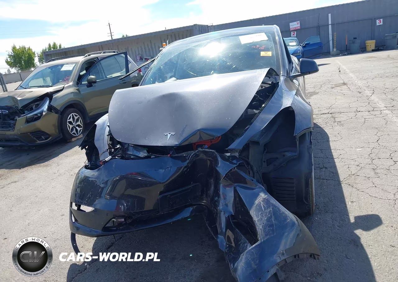 2024 Tesla Model Y Long Range Dual Motor All-Wheel Drive VIN:7SAYGDEE1RF064561 - 13