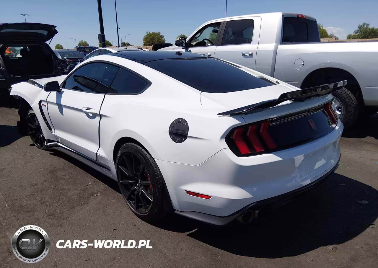 2017 Ford Shelby Gt350 VIN:1FA6P8JZ7H5523151 - 15