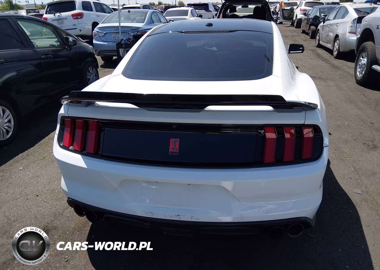 2017 Ford Shelby Gt350 VIN:1FA6P8JZ7H5523151 - 17