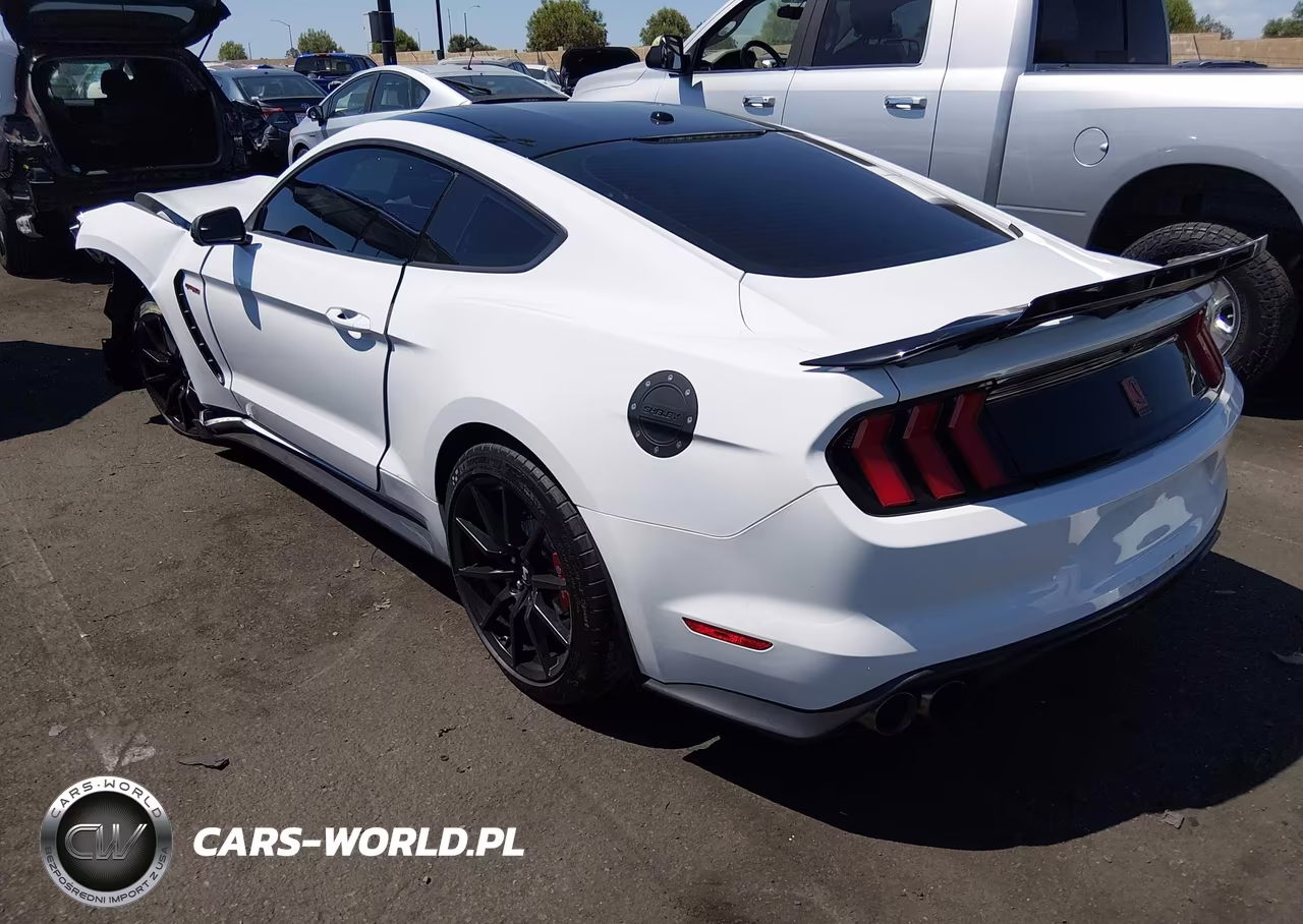 2017 Ford Shelby Gt350 VIN:1FA6P8JZ7H5523151 - 3