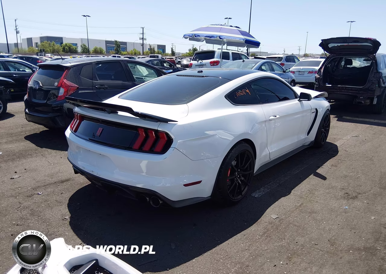 2017 Ford Shelby Gt350 VIN:1FA6P8JZ7H5523151 - 4