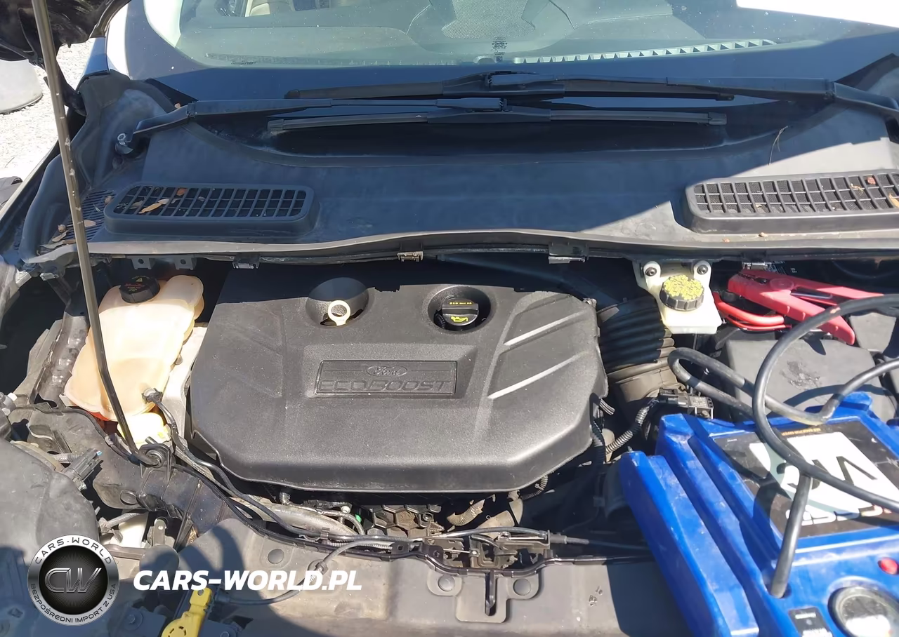 2013 Ford Escape Sel VIN:1FMCU0H90DUC41393 - 10