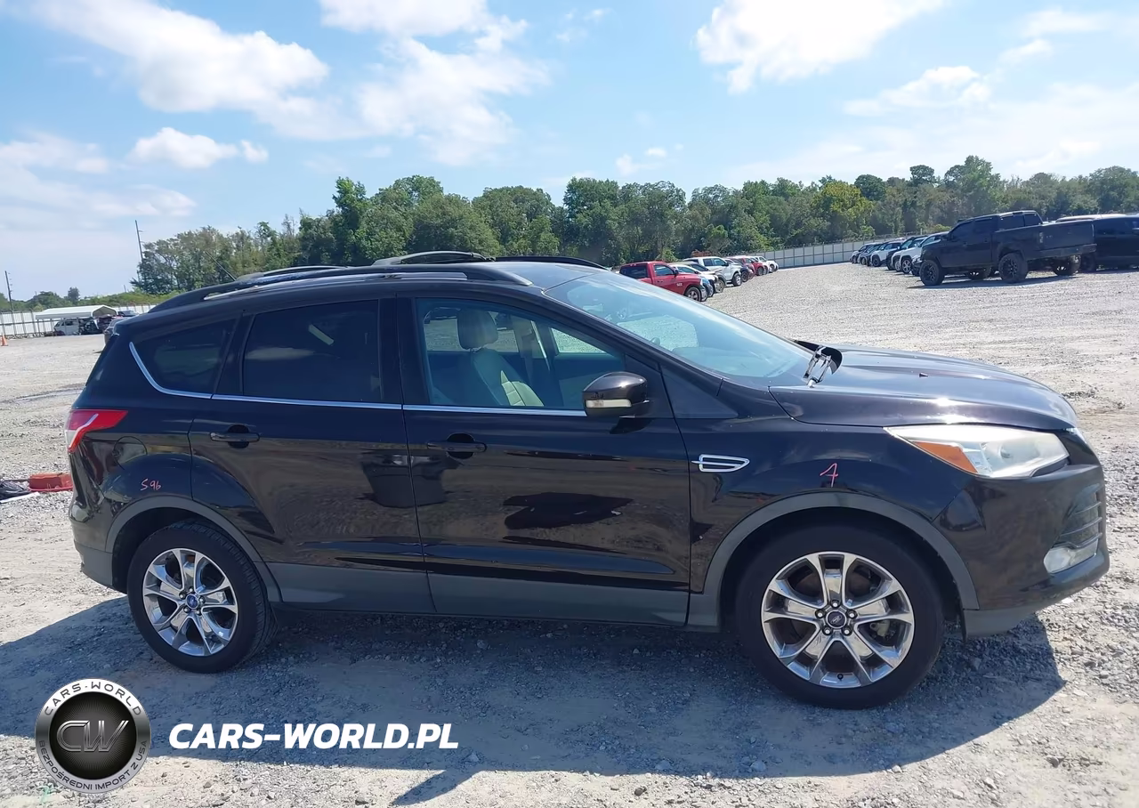 2013 Ford Escape Sel VIN:1FMCU0H90DUC41393 - 13