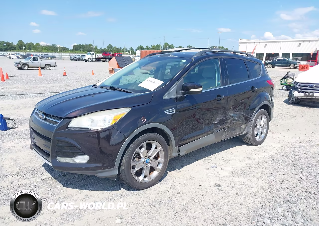 2013 Ford Escape Sel VIN:1FMCU0H90DUC41393 - 2