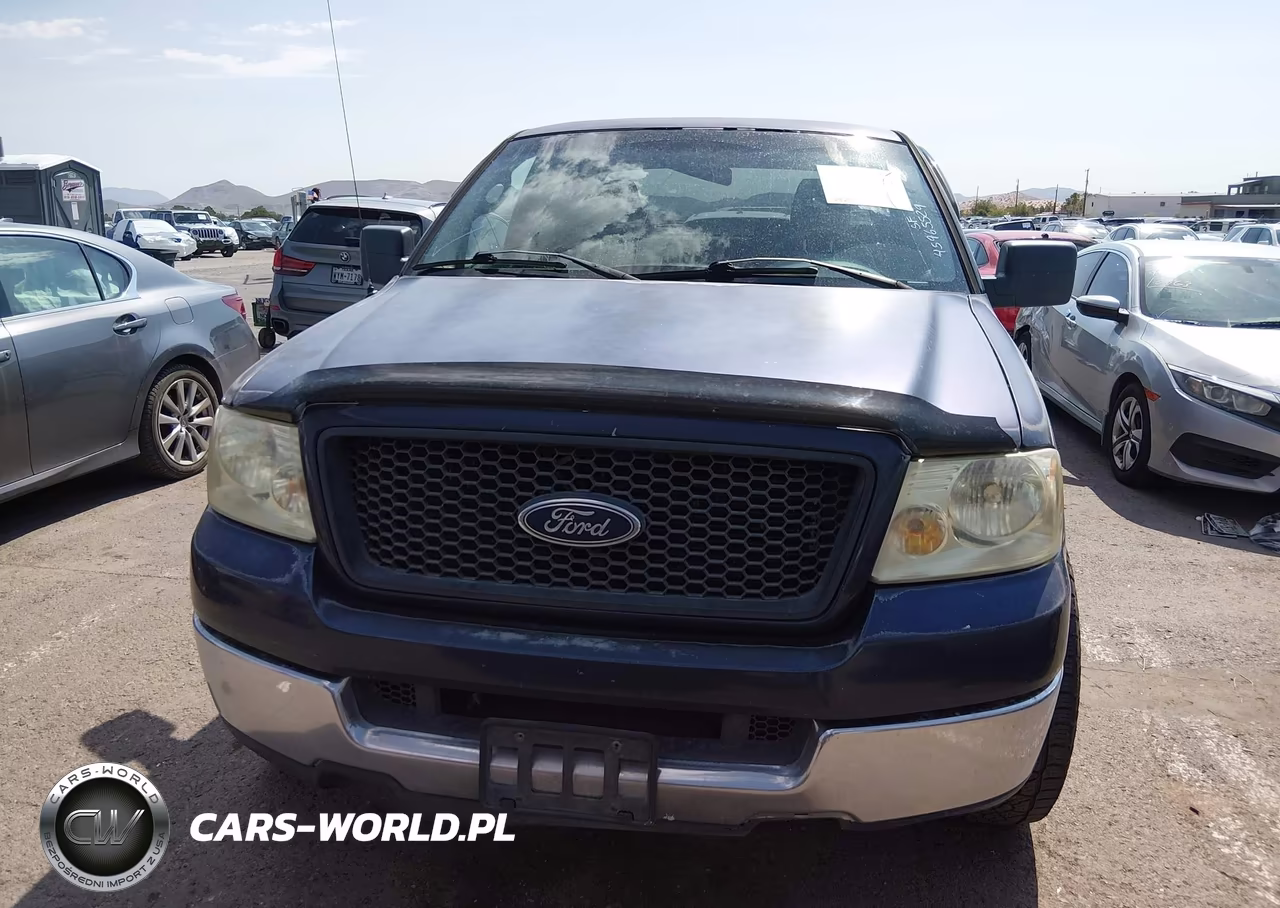 2005 Ford F-150 Stx-Xl-Xlt VIN:1FTRX12W45NB06259 - 12