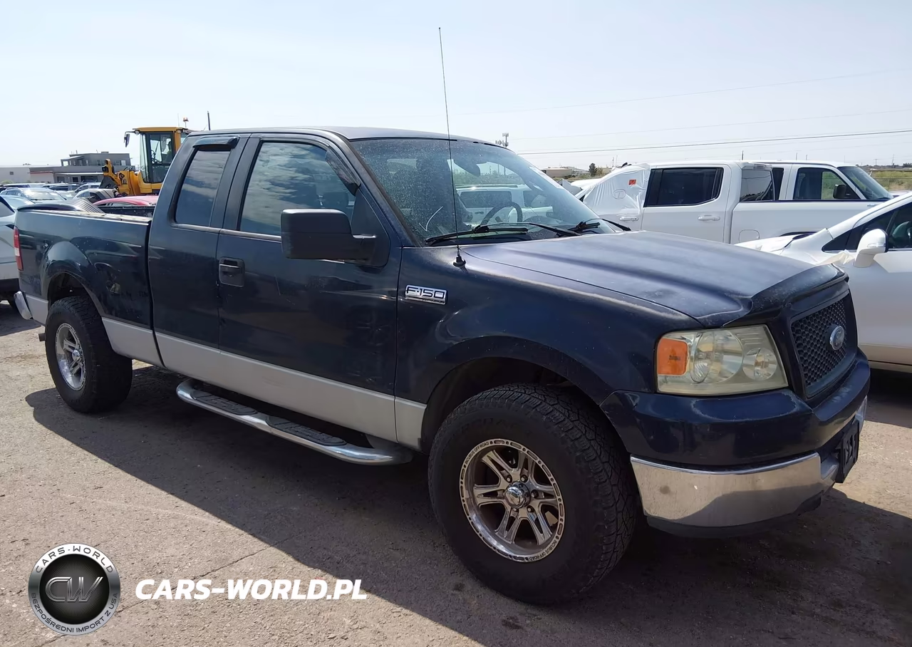 2005 Ford F-150 Stx-Xl-Xlt VIN:1FTRX12W45NB06259 - 13