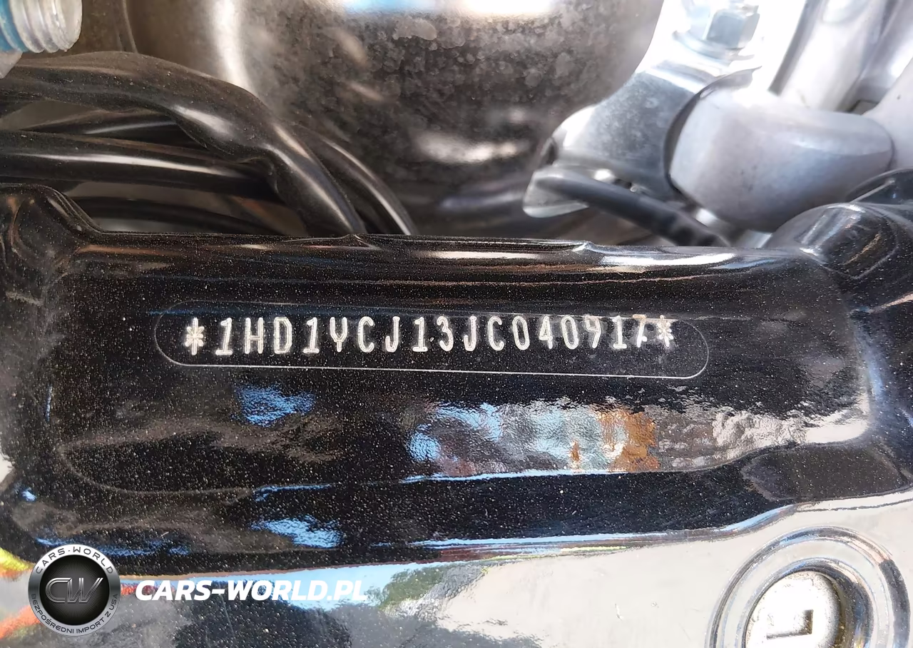 2018 Harley-Davidson Flde Deluxe VIN:1HD1YCJ13JC040917 - 10