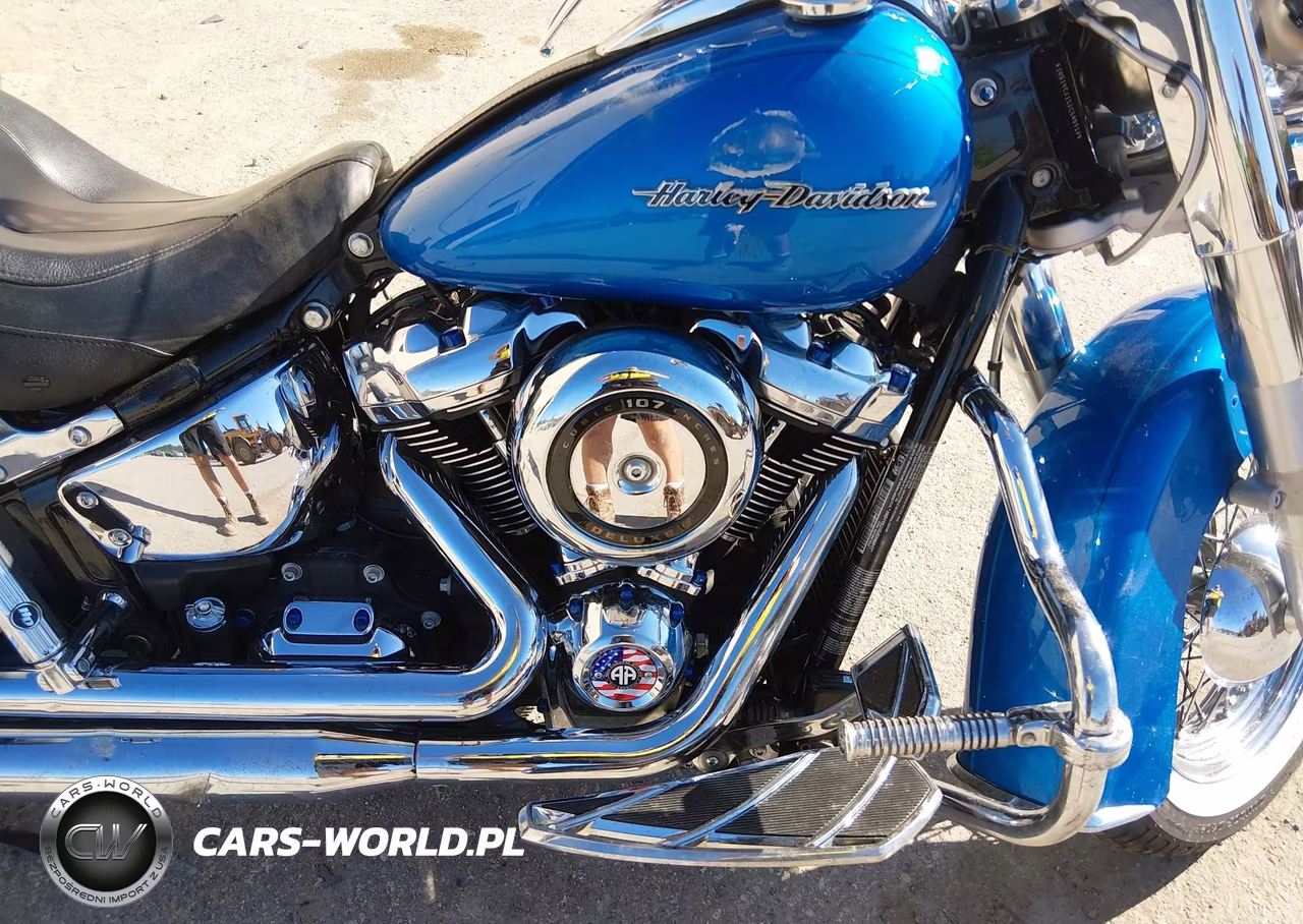 2018 Harley-Davidson Flde Deluxe VIN:1HD1YCJ13JC040917 - 8