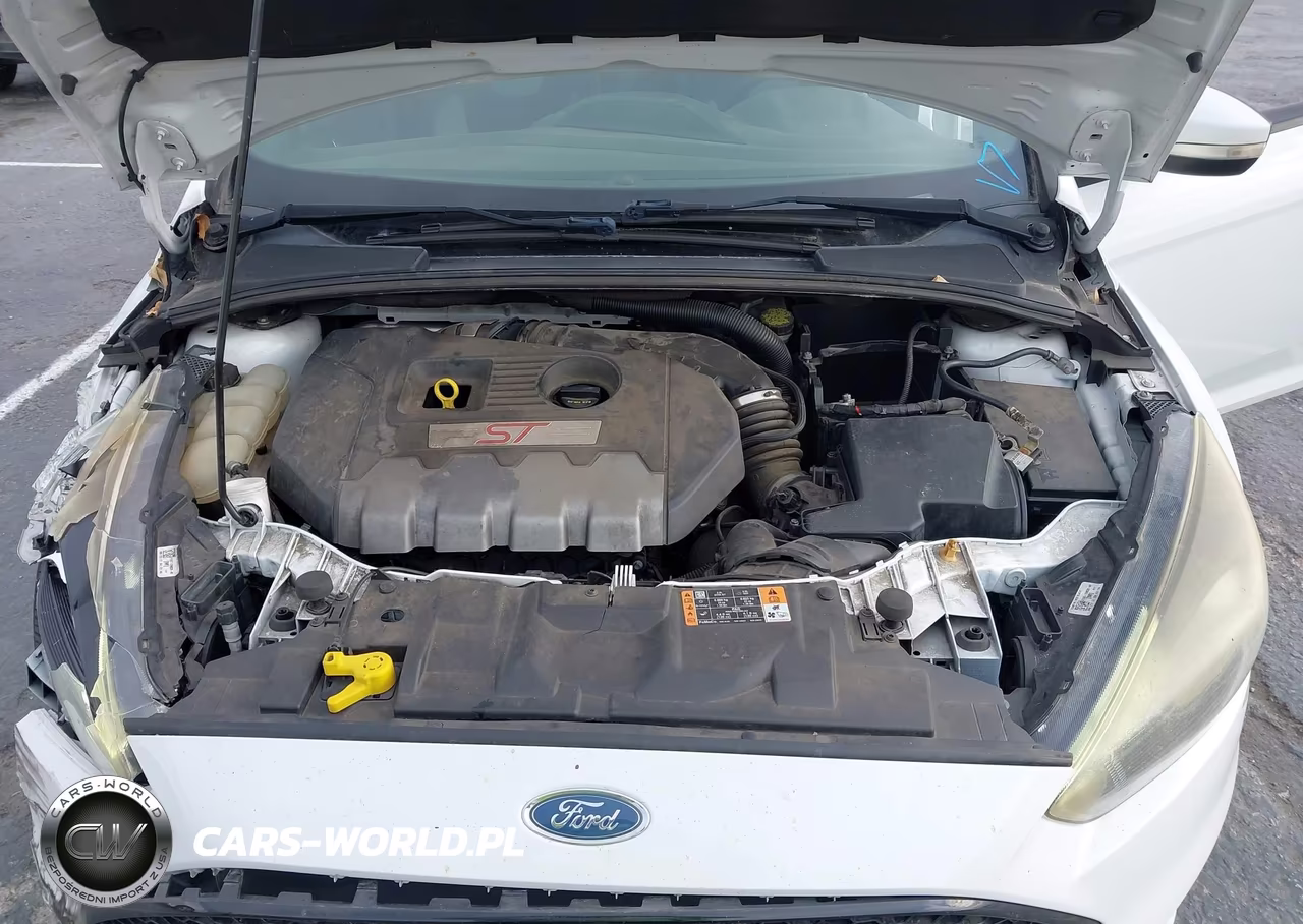 2017 Ford Focus St VIN:1FADP3L9XHL308558 - 10