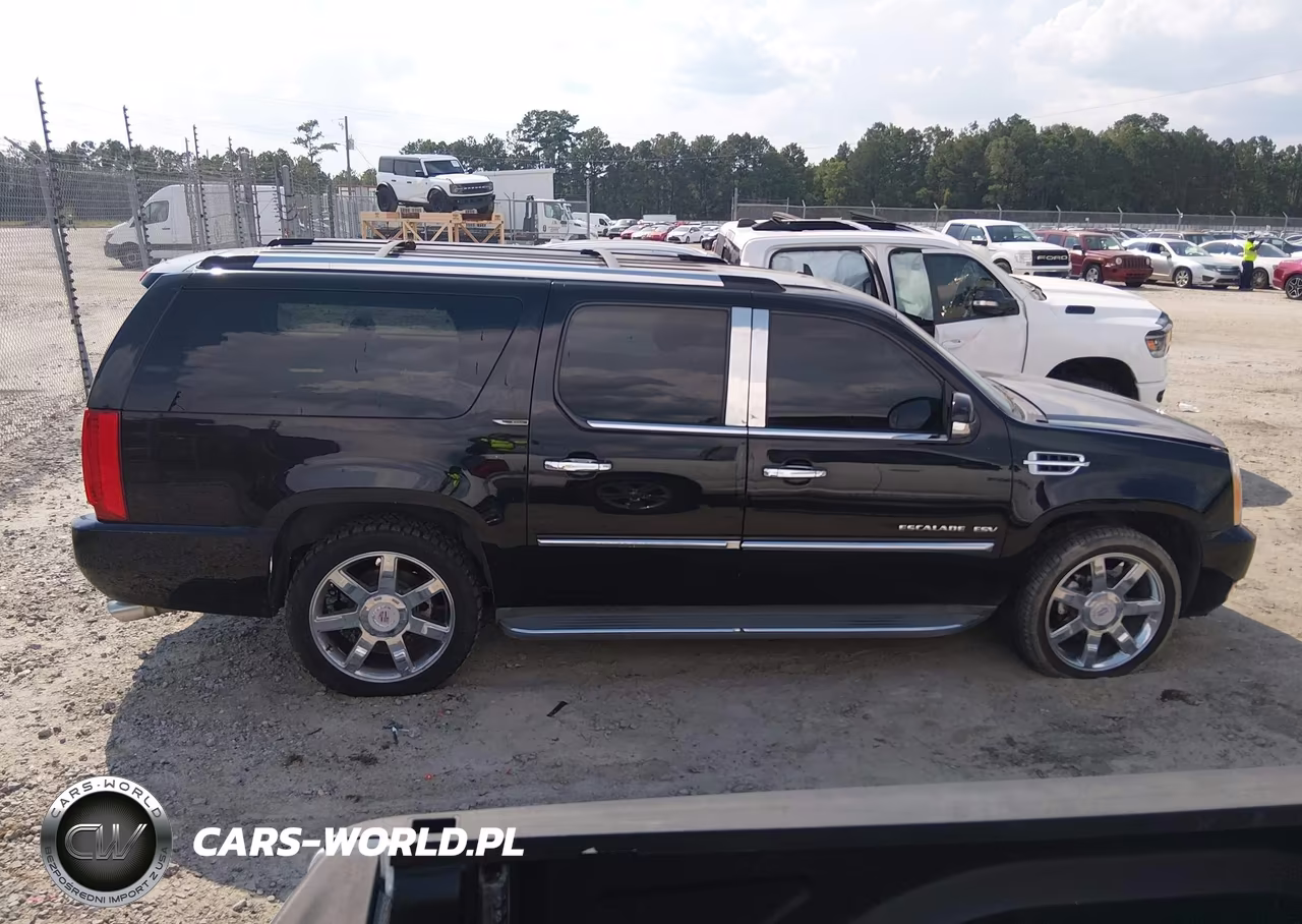 2013 Cadillac Escalade Esv Luxury VIN:1GYS4HEF5DR141036 - 14