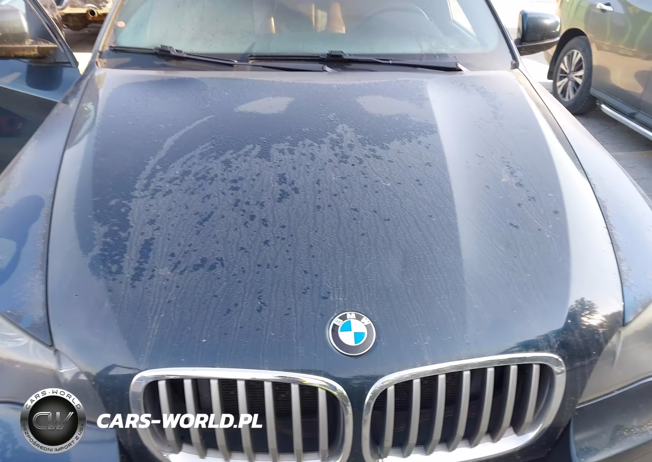 2013 BMW X6 xDrive50I VIN:5UXFG8C59DL591752 - 10