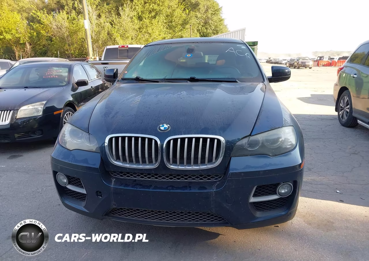2013 BMW X6 xDrive50I VIN:5UXFG8C59DL591752 - 12