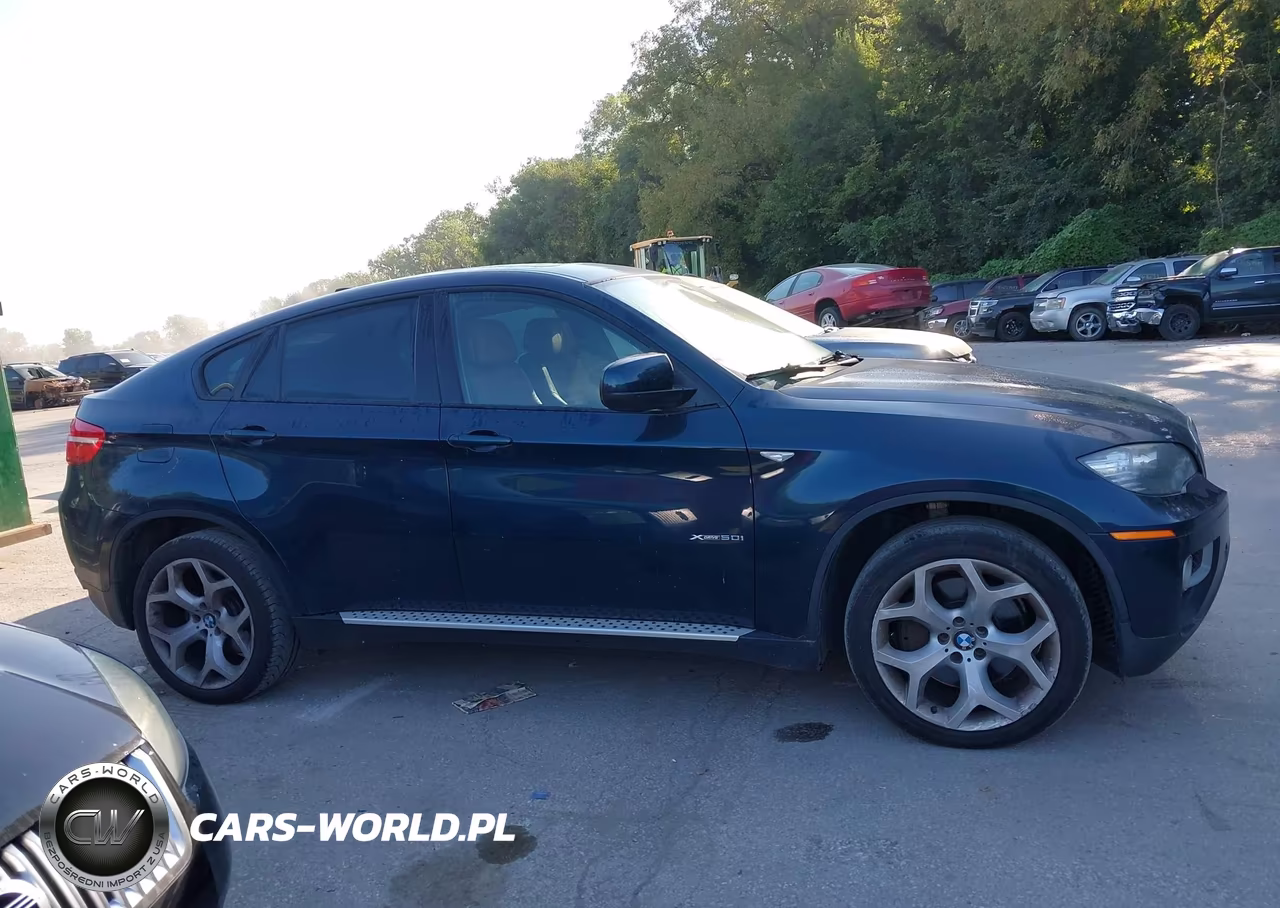 2013 BMW X6 xDrive50I VIN:5UXFG8C59DL591752 - 13