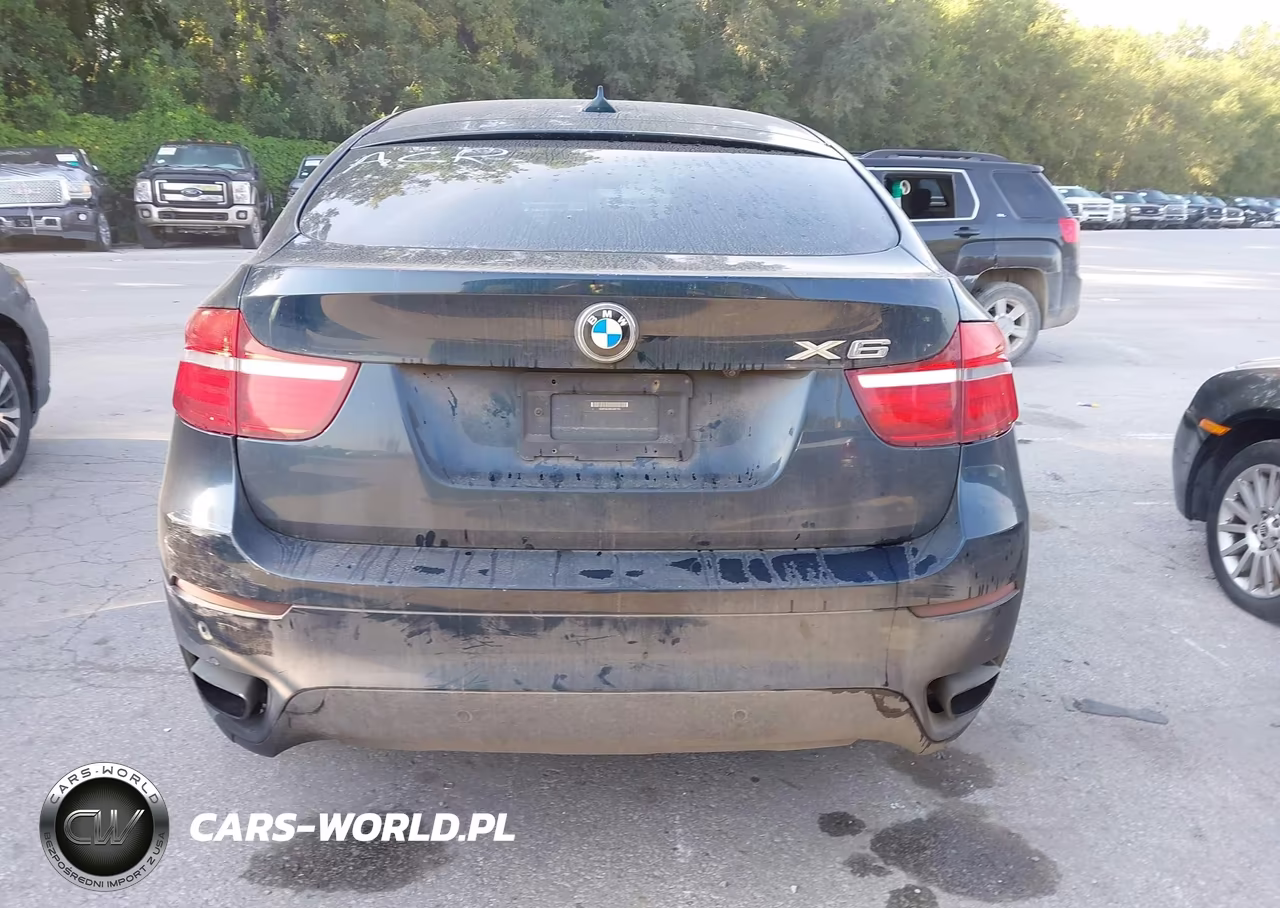 2013 BMW X6 xDrive50I VIN:5UXFG8C59DL591752 - 16