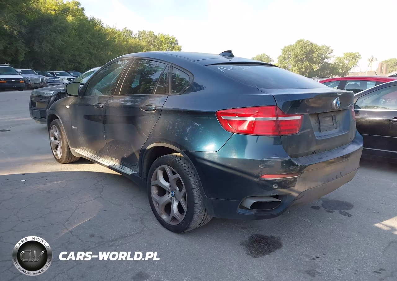 2013 BMW X6 xDrive50I VIN:5UXFG8C59DL591752 - 3