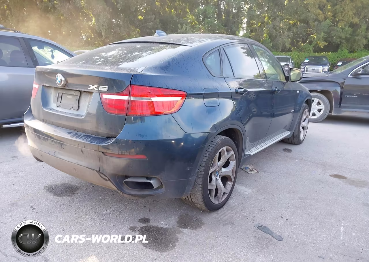 2013 BMW X6 xDrive50I VIN:5UXFG8C59DL591752 - 4