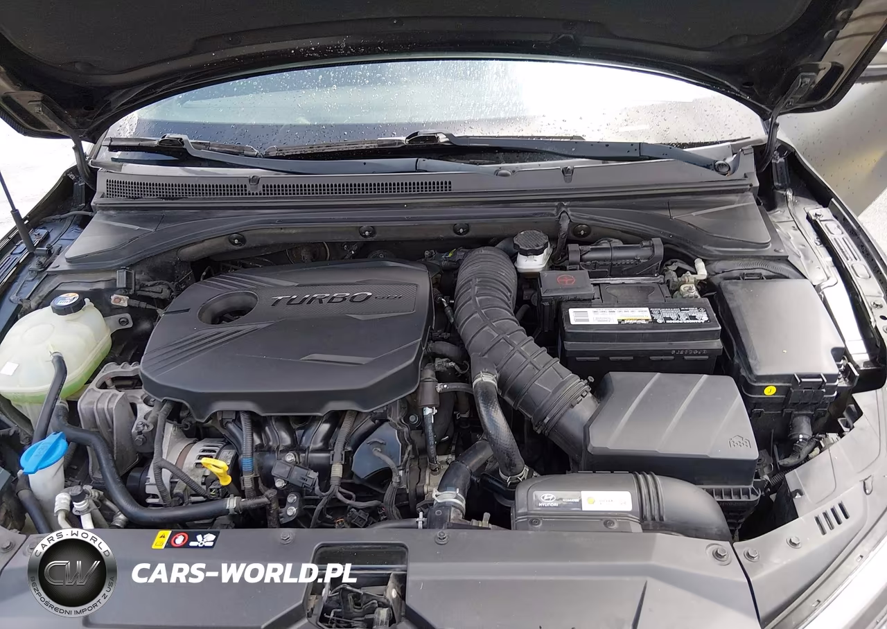 2019 Hyundai Veloster Turbo VIN:KMHTH6ABXKU020157 - 10
