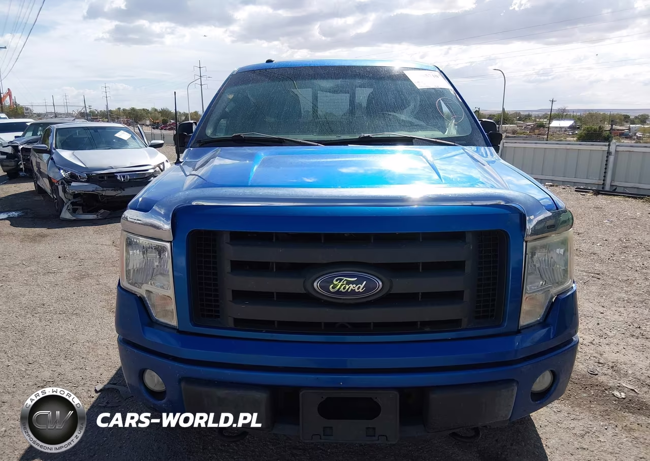 2010 Ford F-150 Fx4-Harley-Davidson-King Ranch-Lariat-Platinum-Xl-Xlt VIN:1FTFW1EV8AFC10928 - 12