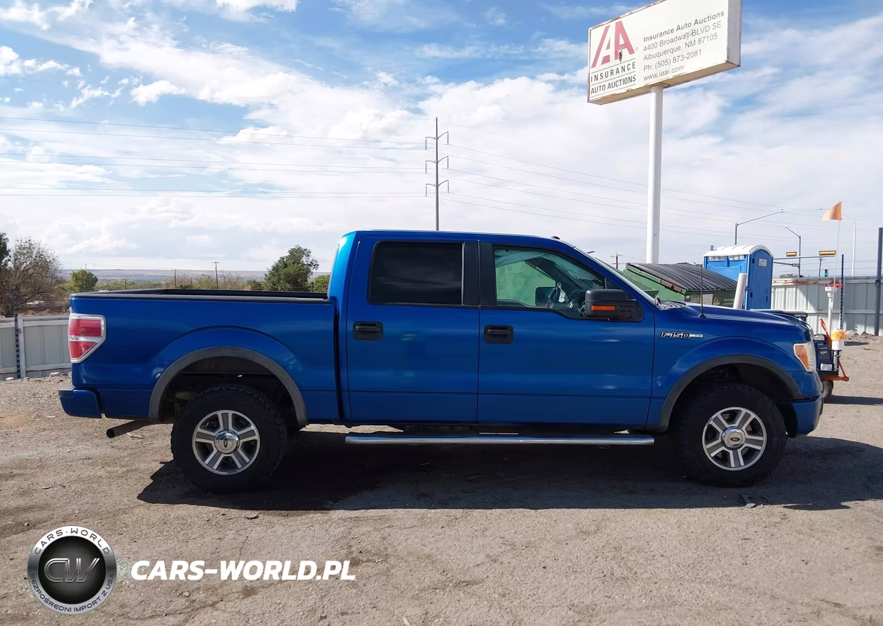 2010 Ford F-150 Fx4-Harley-Davidson-King Ranch-Lariat-Platinum-Xl-Xlt VIN:1FTFW1EV8AFC10928 - 13