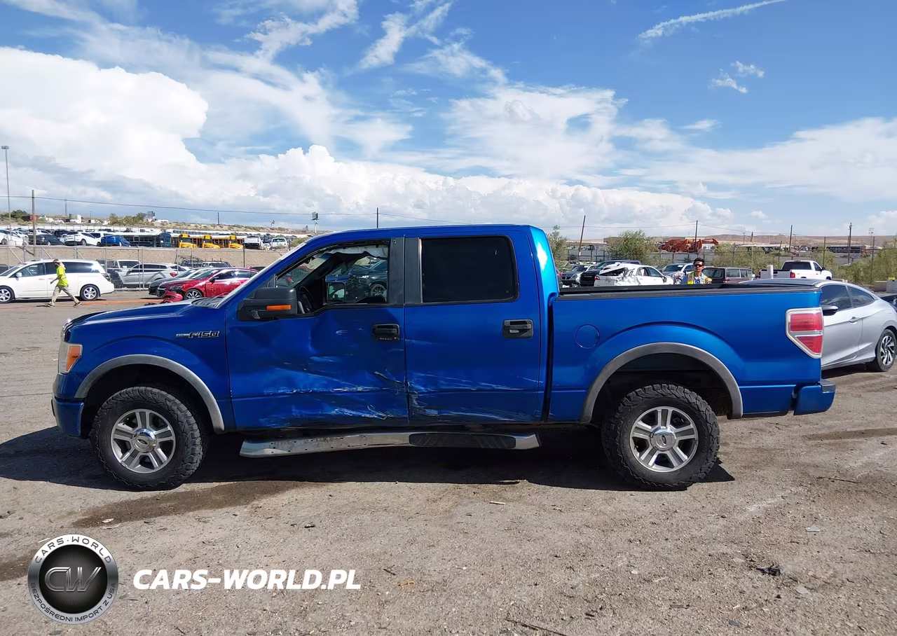 2010 Ford F-150 Fx4-Harley-Davidson-King Ranch-Lariat-Platinum-Xl-Xlt VIN:1FTFW1EV8AFC10928 - 14