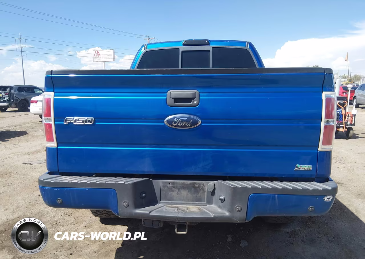 2010 Ford F-150 Fx4-Harley-Davidson-King Ranch-Lariat-Platinum-Xl-Xlt VIN:1FTFW1EV8AFC10928 - 16
