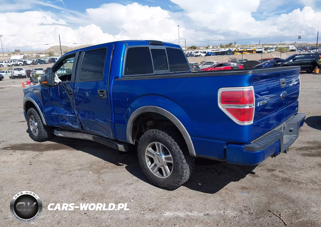 2010 Ford F-150 Fx4-Harley-Davidson-King Ranch-Lariat-Platinum-Xl-Xlt VIN:1FTFW1EV8AFC10928 - 3