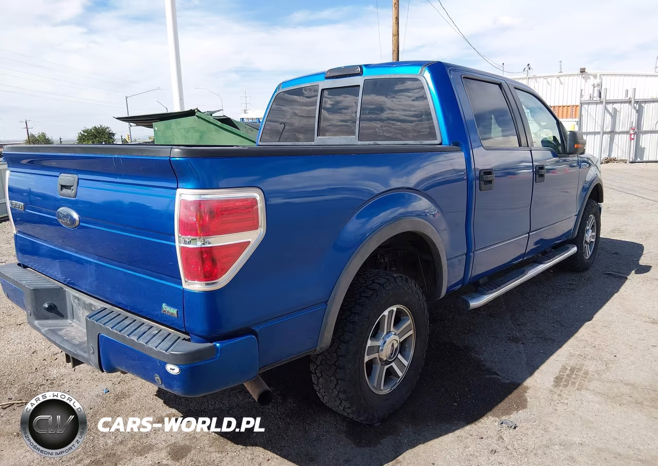 2010 Ford F-150 Fx4-Harley-Davidson-King Ranch-Lariat-Platinum-Xl-Xlt VIN:1FTFW1EV8AFC10928 - 4