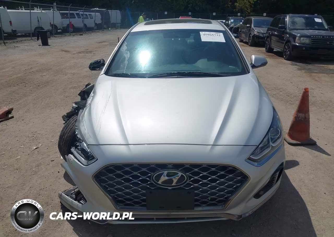 2019 Hyundai Sonata Sport VIN:5NPE34AF3KH806749 - 12
