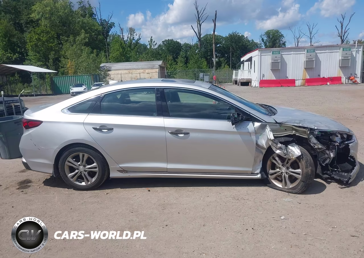 2019 Hyundai Sonata Sport VIN:5NPE34AF3KH806749 - 13