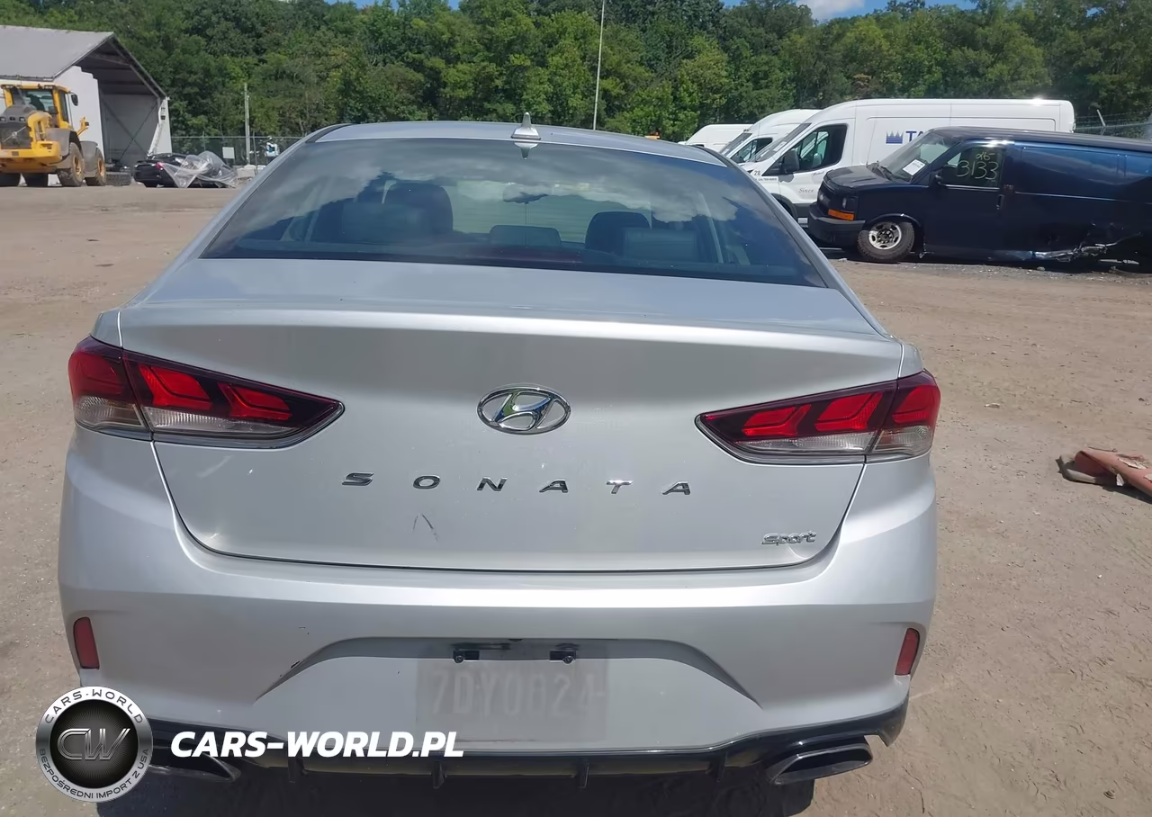 2019 Hyundai Sonata Sport VIN:5NPE34AF3KH806749 - 16