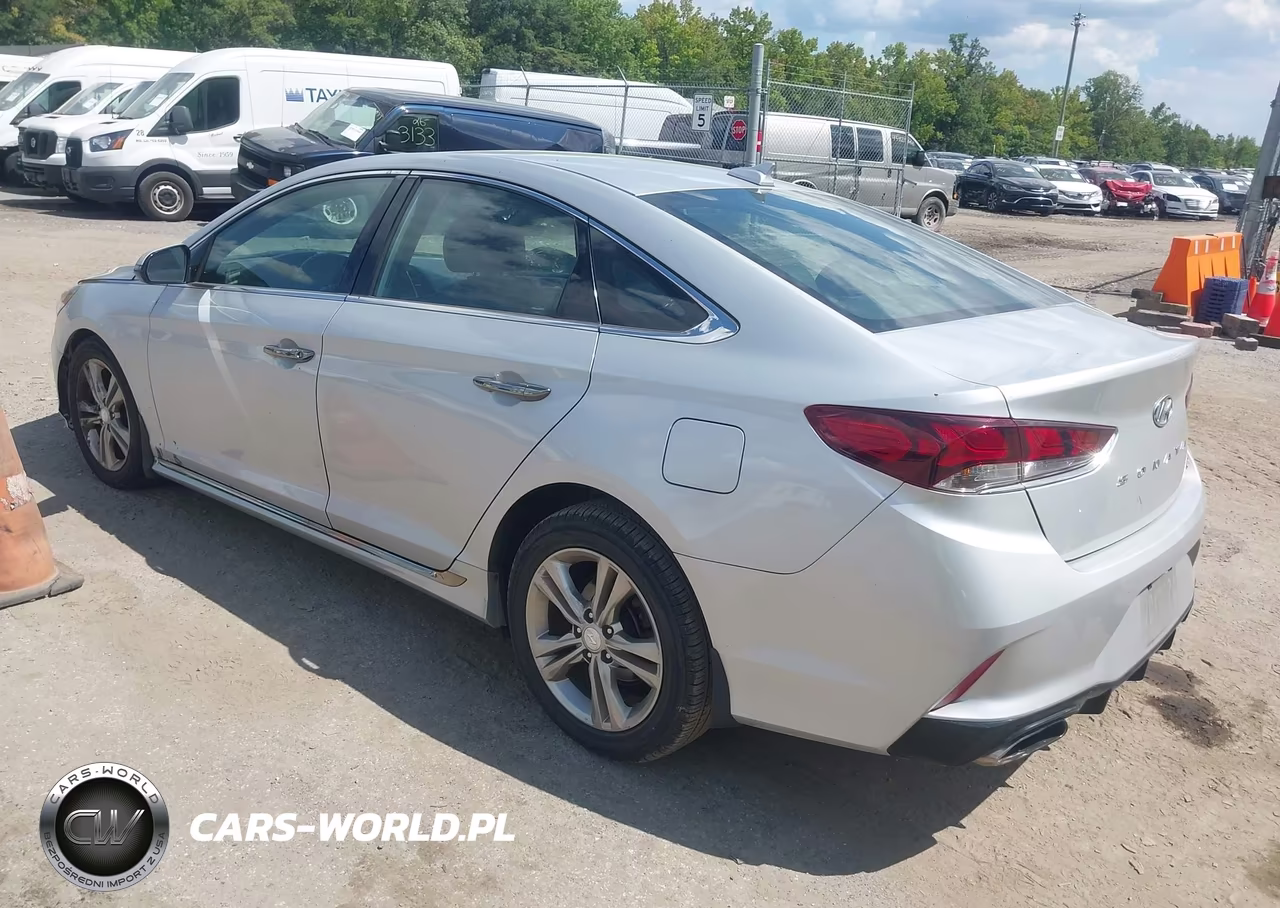 2019 Hyundai Sonata Sport VIN:5NPE34AF3KH806749 - 3
