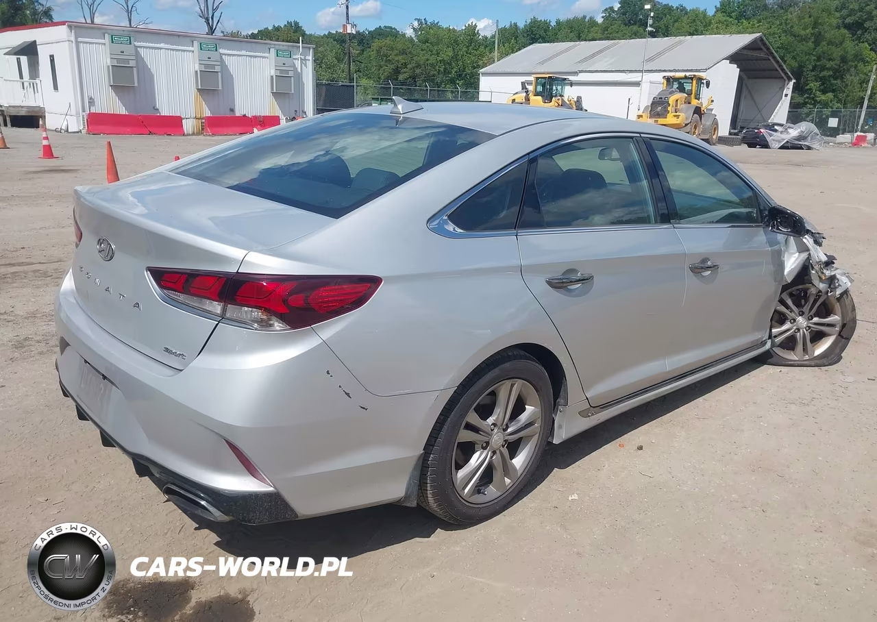 2019 Hyundai Sonata Sport VIN:5NPE34AF3KH806749 - 4