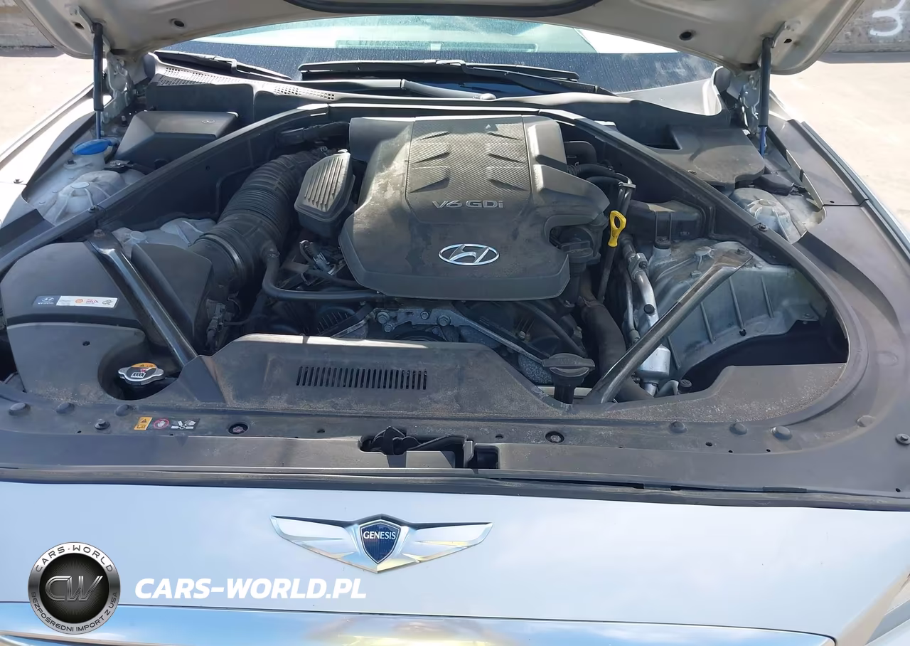 2016 Hyundai Genesis 3.8 VIN:KMHGN4JE8GU111623 - 10