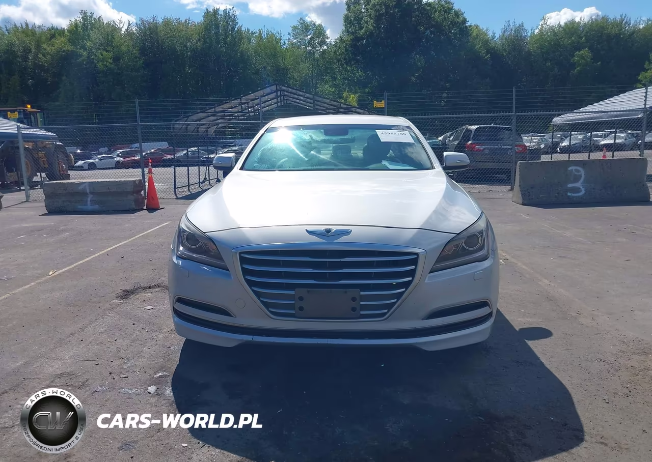 2016 Hyundai Genesis 3.8 VIN:KMHGN4JE8GU111623 - 12
