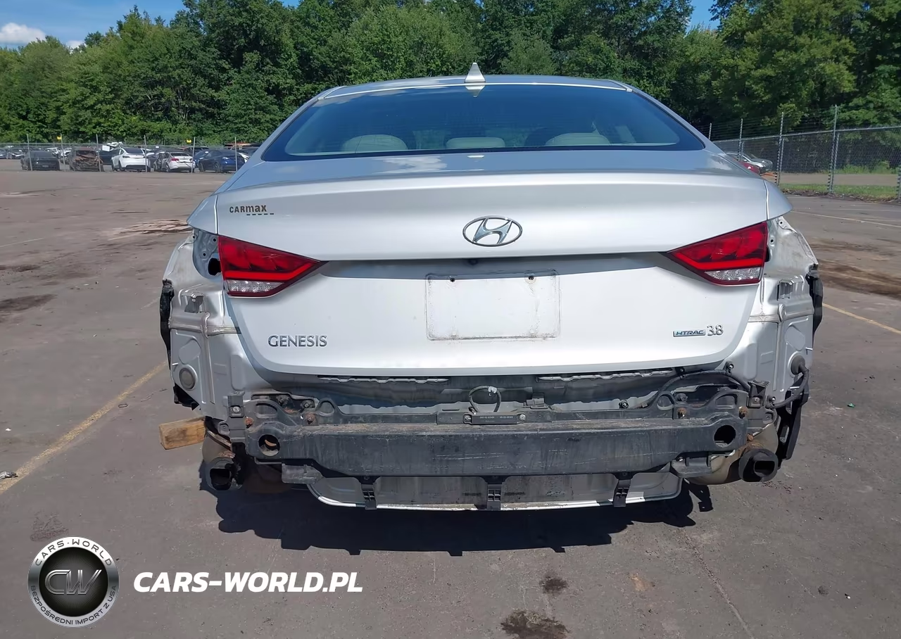 2016 Hyundai Genesis 3.8 VIN:KMHGN4JE8GU111623 - 16