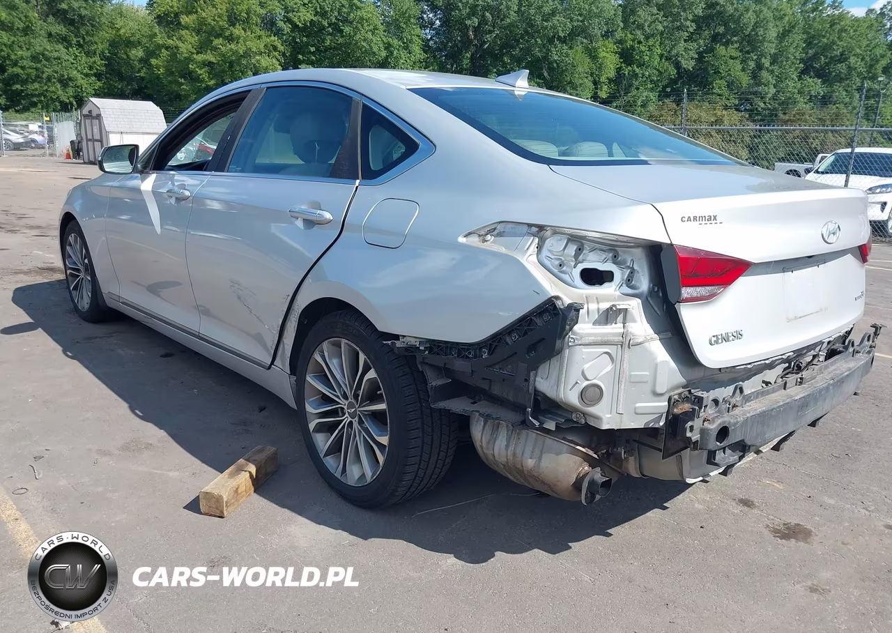 2016 Hyundai Genesis 3.8 VIN:KMHGN4JE8GU111623 - 3