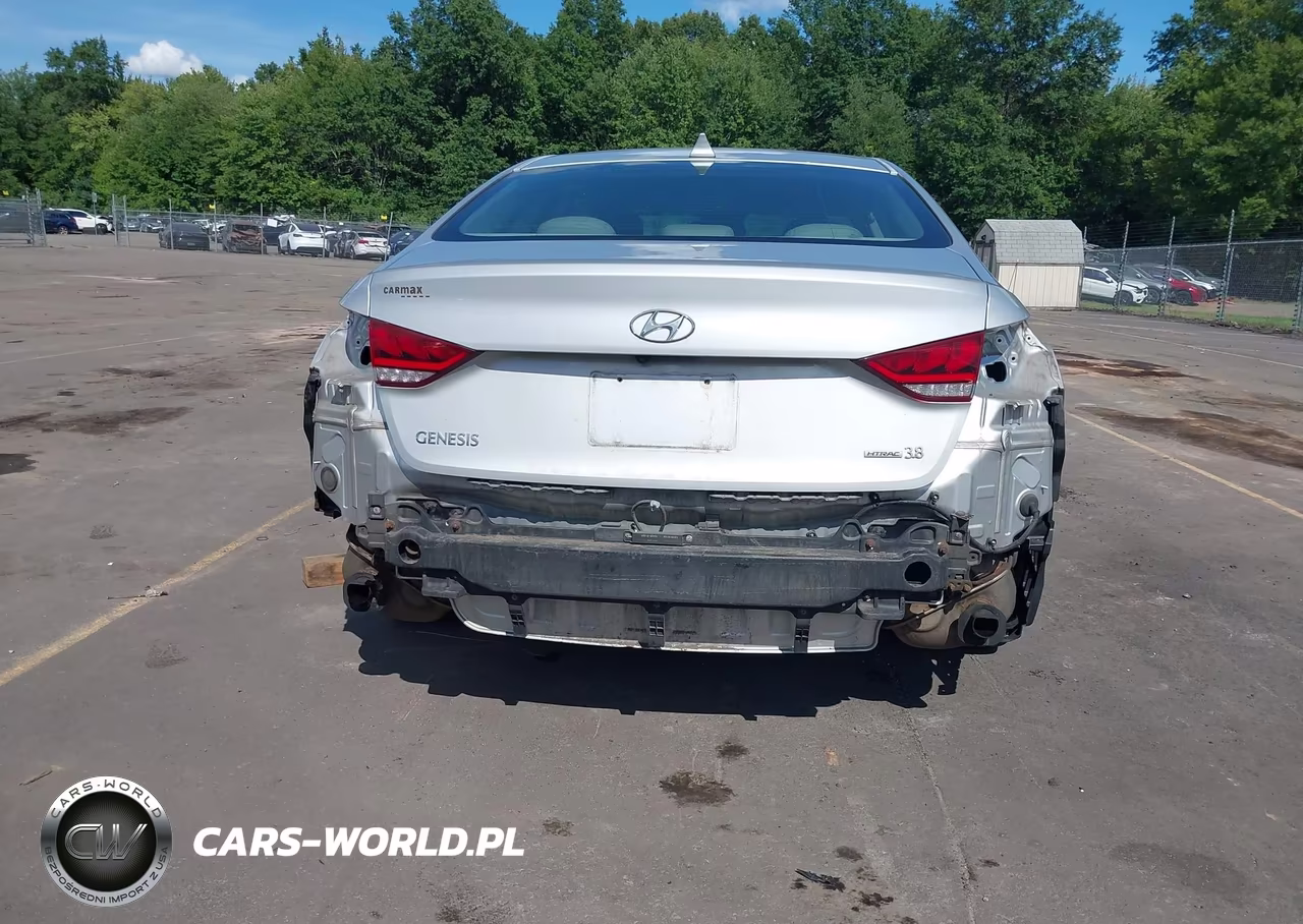 2016 Hyundai Genesis 3.8 VIN:KMHGN4JE8GU111623 - 6