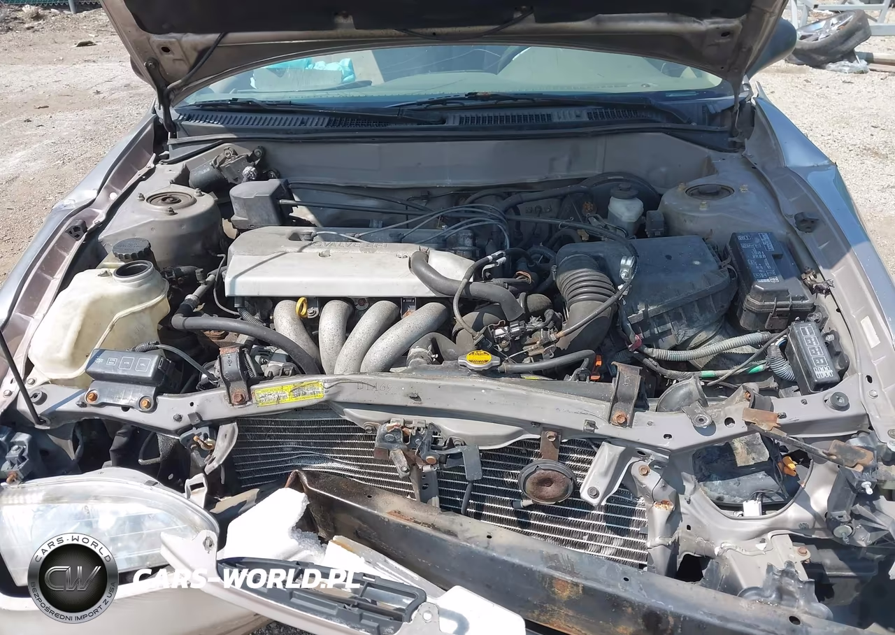 1998 Toyota Corolla Le VIN:2T1BR18E3WC001291 - 10