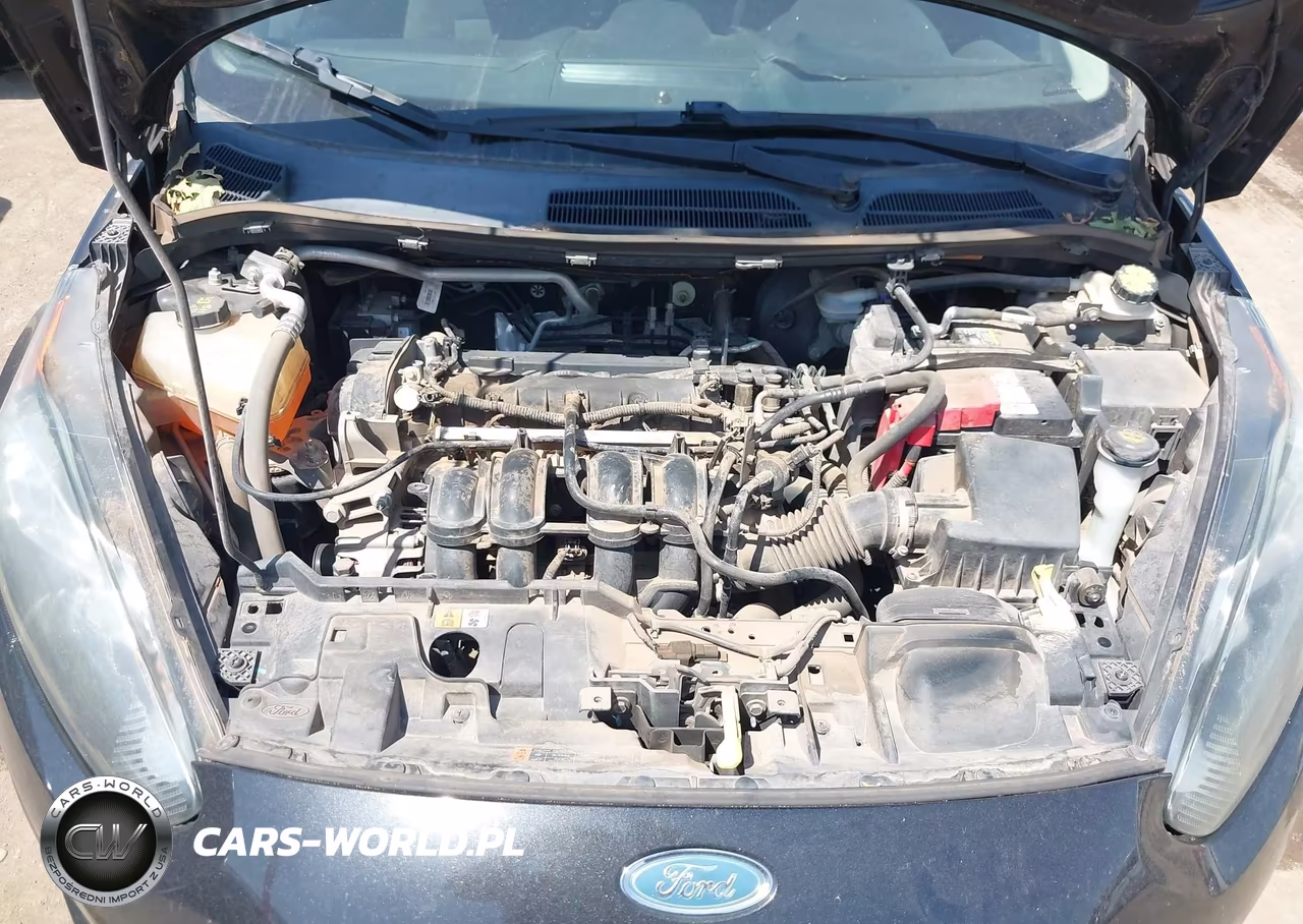 2014 Ford Fiesta S VIN:3FADP4AJOEM132696 - 10