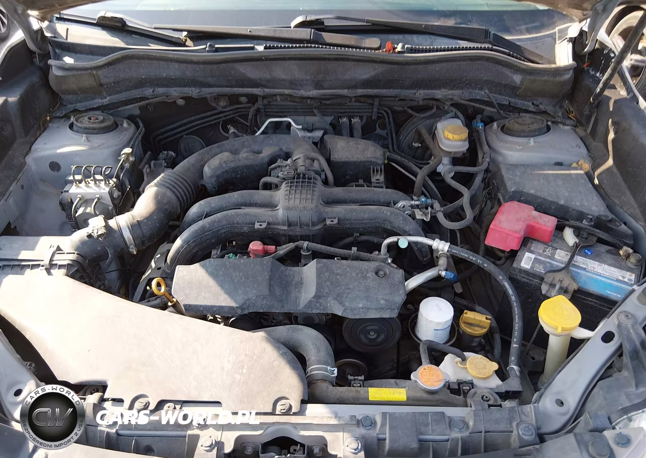 2014 Subaru Forester 2.5I Premium VIN:JF2SJAEC4EH437248 - 10