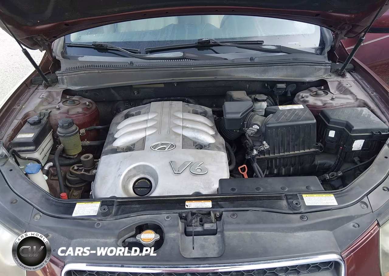 2007 Hyundai Santa Fe Limited-Se VIN:5NMSH13E67H103495 - 10